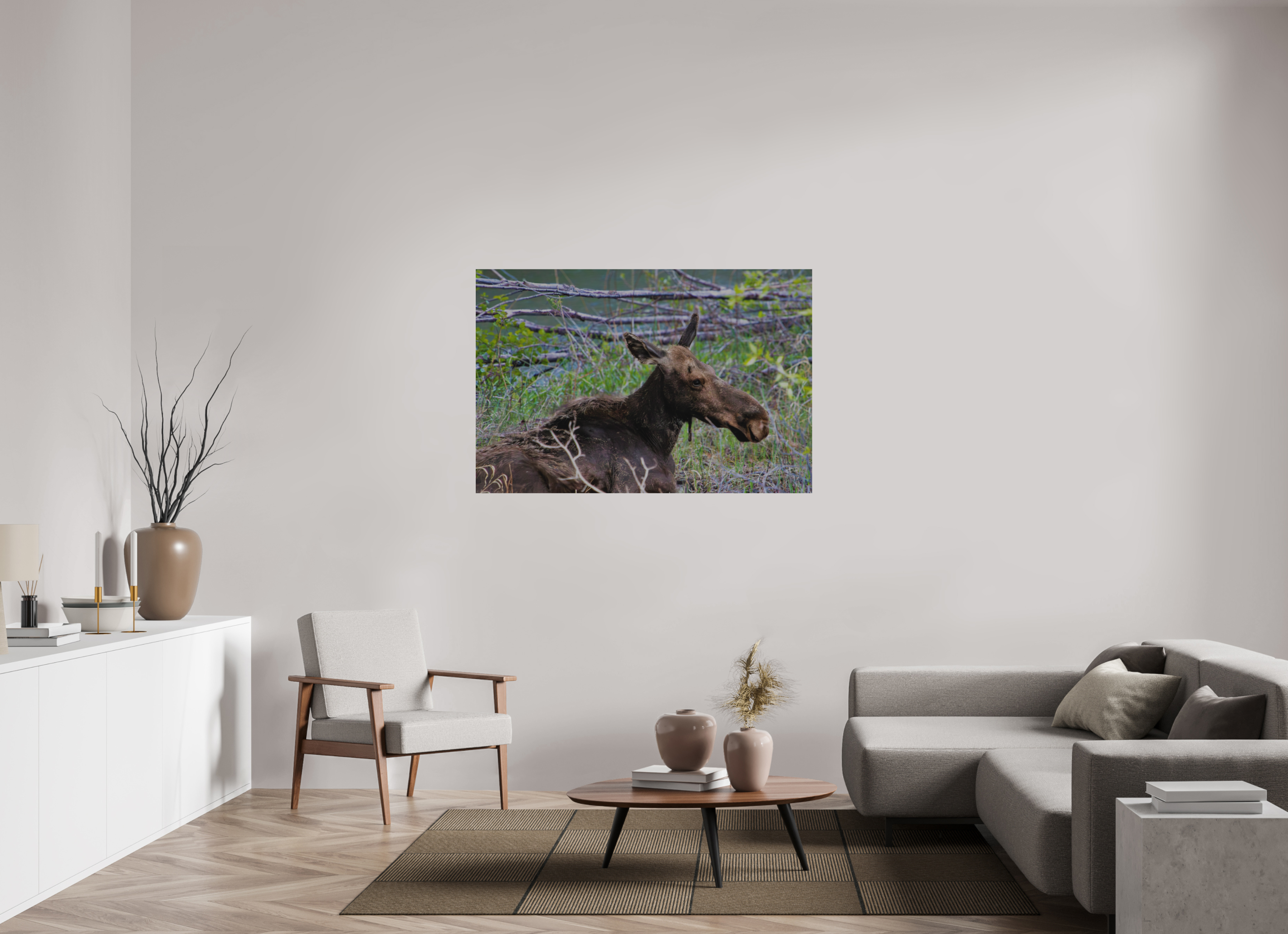 54 x 36″, Direct Brushed Aluminum Moose Relaxing